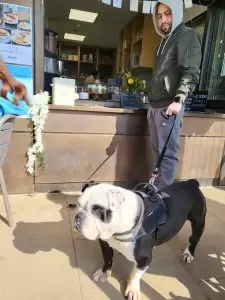 Dog-Driendly Cafe in Caledonian Park