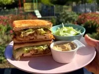 tolpuddle-cafe-coronation-chicken-toastie